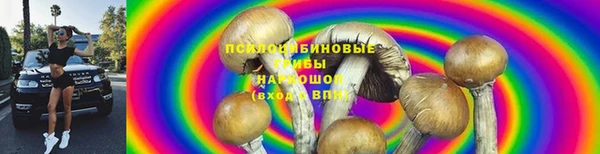 сатива Армянск